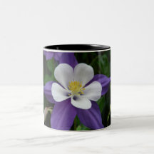 Columbine Purple and White Flower Coffee Mug
