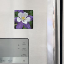 Columbine Purple and White Flower Magnet