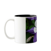 Columbine Purple and White Flower Coffee Mug