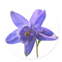 Columbine ~ sticker