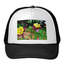 Columbine Trucker Hats