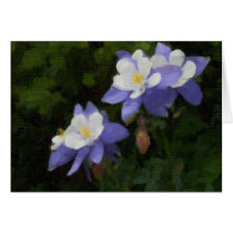 Columbines Card