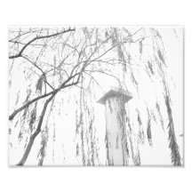 Column Under Weeping Tree High Dynamic range Photographic Print