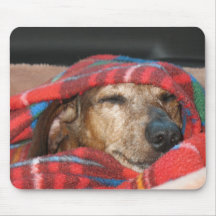 Com-FUR-table Mouse Pad
