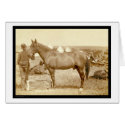 Comanche, Army Horse SD 1887 cards