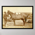 Comanche, Army Horse SD 1887 posters