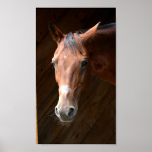 Comaneci Affiches
