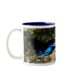 come fly with me coffee mug