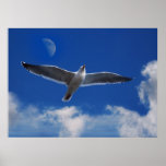 Come Fly With Me Posters
