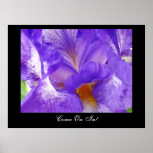 Come On In! art print Purple Iris Flower Florals