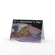Come Snuggle Cat Valentine Greeting Cards