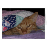 "Come Snuggle" Everyday Card