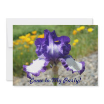 Come to My Party! Birthday Party Fun Invitations