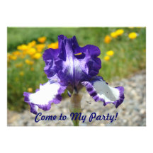 Come to My Party! Birthday Party Fun Invitations