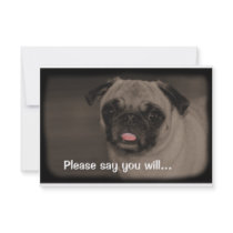 Come to My Party Invitation