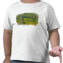 Comertown gravel road in remote northeastern t shirts