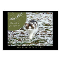 Comfort Zone Life Lessons from a Cat ACEO Art Card