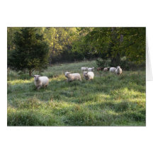 Coming Home Greeting Cards