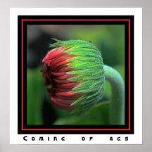 Coming Of Age Poster