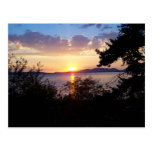 Commande de Chuckanut Cartes Postales