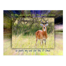 Comme cerfs communs halète pour les ruisseaux de l cartes postales