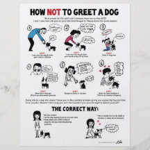 Comment ne pas saluer un chien - 8,5" x 11" insect prospectus