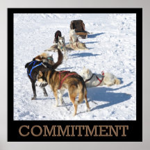 Commitment Sled Dogs Poster