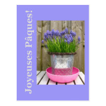 Common blue hyacints easter greeting - french post card