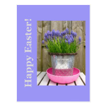 Common blue hyacints easter greeting post card