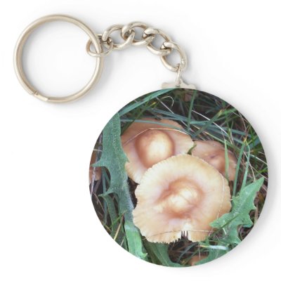 Common Bonnet Mushroom Key Chain by CreatureCreations