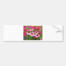 Common Daisy Flower Pink Purple Violet Flowers Bumper Stickers