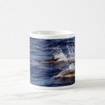Common Dolphins Mug