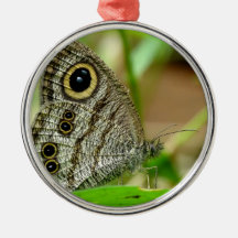 Common Fivering Satyrinae Butterfly Christmas Ornaments