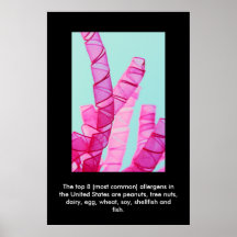 Common Food Allergies Posters