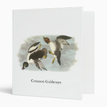 Common Goldeneye, John Audubon 3 Ring Binder