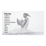 Common loon business card