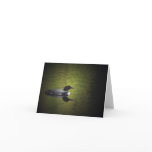 Common Loon Greeting Card