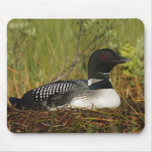 Common Loon Mousepad