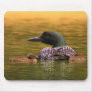 Common Loon with 2 Chicks Mousepad