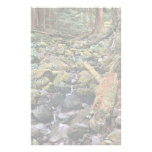 Common Minnesota rock bed stream from the Forest Stationery Design