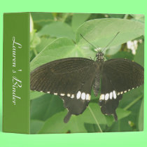Common Mormon Butterfly Custom Binder binders