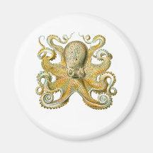 Common Octopus Fridge Magnet
