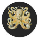 Common Octopus Round Sticker