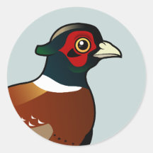 Common Pheasant Round Stickers