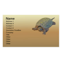 Common Snapping Turtle - Chelydra serpentina Business Card Templates
