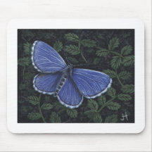 Commonblue-butterfly_J Horsler Mouse Pad