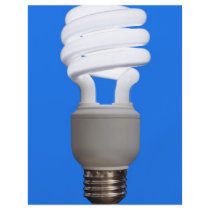 Compact Fluorescent Bulb Personalized Flyer