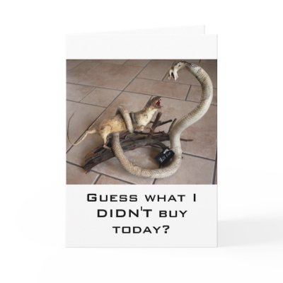 comparison shopping cards by thebloggess