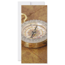 Compass040309