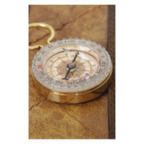 Compass040309